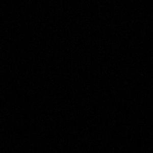 Meet your Posher, Vashon